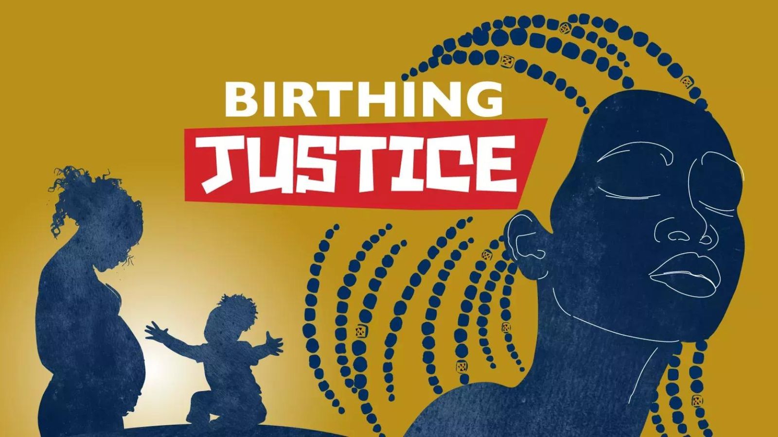 Birthing Justice Documentary Poster